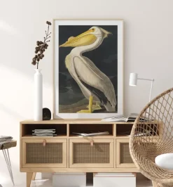 American White Pelican Poster (21x29.7 cm (A4))