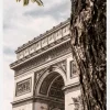Arc De Triomphe Paris I Canvastavla (30x40 cm)