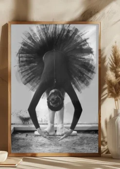 Balerina Poster (21x29.7 cm (A4))