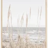 Beach Vass 001 Poster (21x29.7 cm (A4))