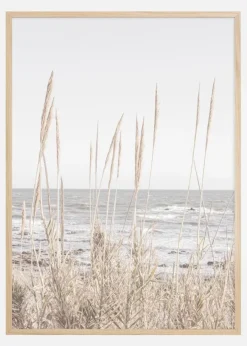 Beach Vass 001 Poster (21x29.7 cm (A4))