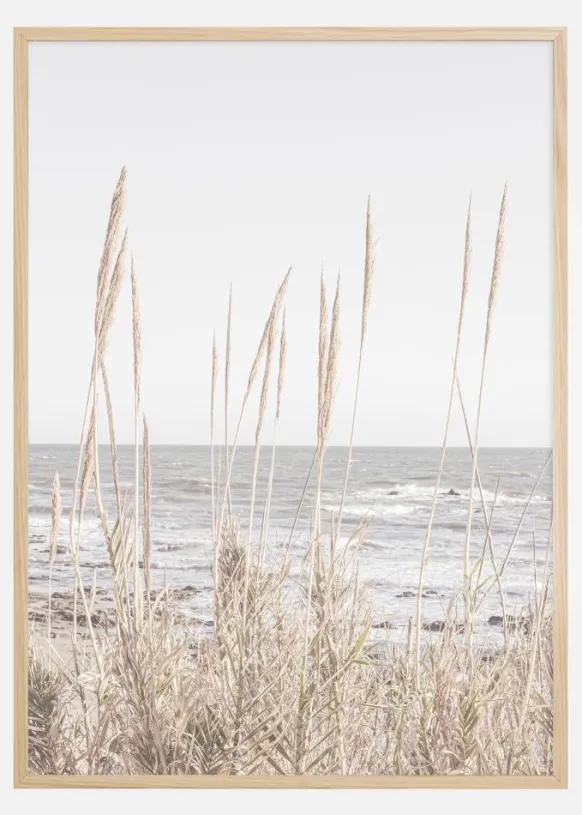 Beach Vass 001 Poster (21x29.7 cm (A4))