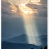 Beautiful Sunlight Canvastavla (30x40 cm)