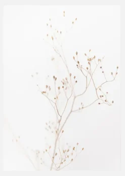 Beige Straws Canvastavla (30x40 cm)