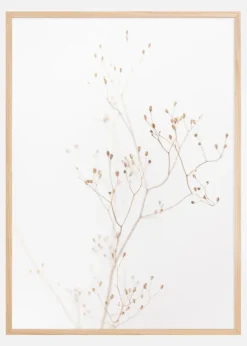 Beige straws Poster (21x29.7 cm (A4))
