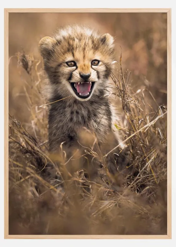 Big Smile Poster (21x29.7 cm (A4))