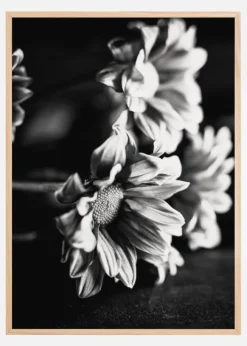 Black and White Flowers Poster (21x29.7 cm (A4))