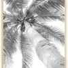 Black and white palmtree Poster (21x29.7 cm (A4))
