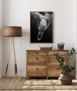 Black A Whale Poster (21x29.7 cm (A4))