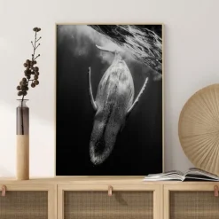 Black A Whale Poster (21x29.7 cm (A4))