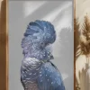 Black Cockatoo Poster (21x29.7 cm (A4))