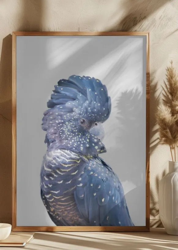 Black Cockatoo Poster (21x29.7 cm (A4))
