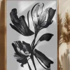 Black Flower Poster (21x29.7 cm (A4))