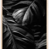 Black Leaves Poster (21x29.7 cm (A4))