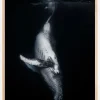 Black Whale Poster (21x29.7 cm (A4))