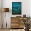 Blue Whale Poster (21x29.7 cm (A4))