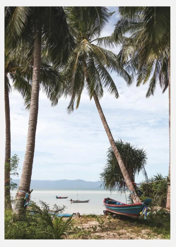 Boats In Thailand Canvastavla (30x40 cm)