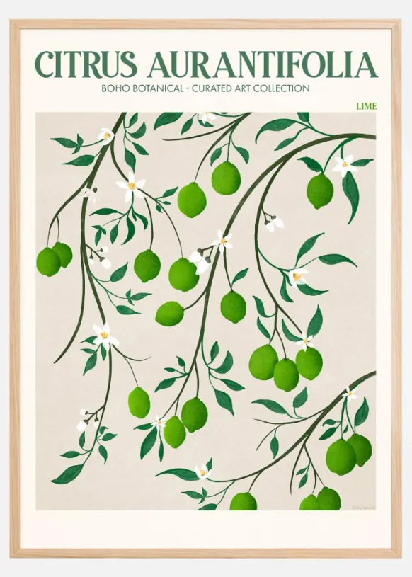 Boho Citrus Aurantifolia Poster (21x29.7 cm (A4))