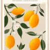 Boho Citrus Limonum Poster (21x29.7 cm (A4))