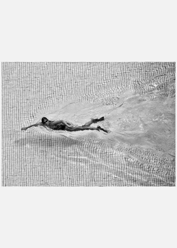 Breaking The Net Canvastavla (30x40 cm)
