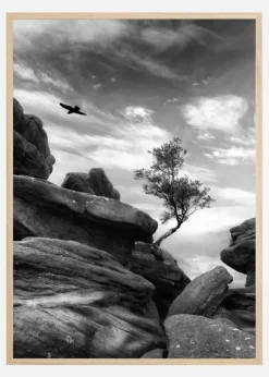 Brimham Poster (21x29.7 cm (A4))