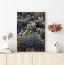 Cactus In Desert Poster (21x29.7 cm (A4))