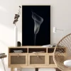 Calla Lily Poster (21x29.7 cm (A4))