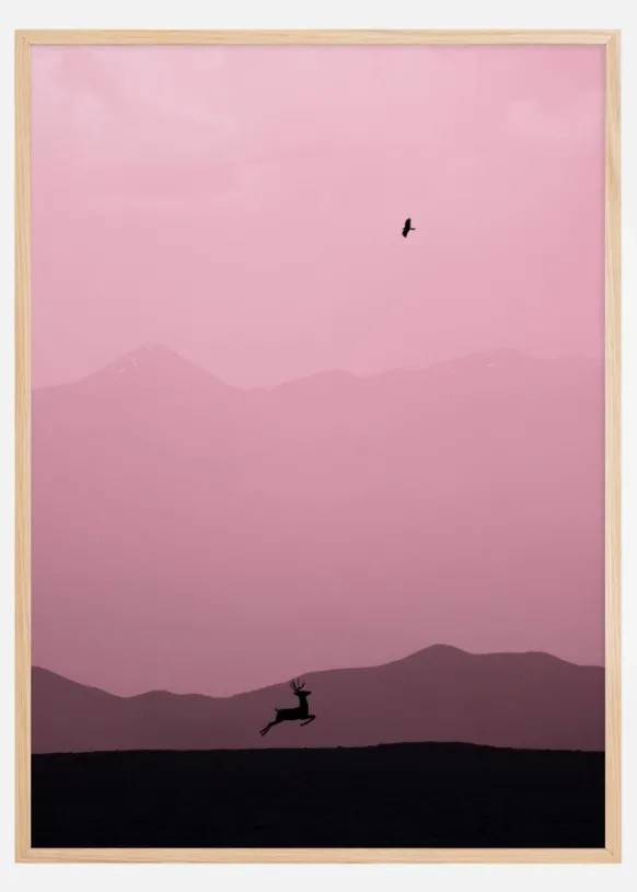 Caracc Poster (21x29.7 cm (A4))