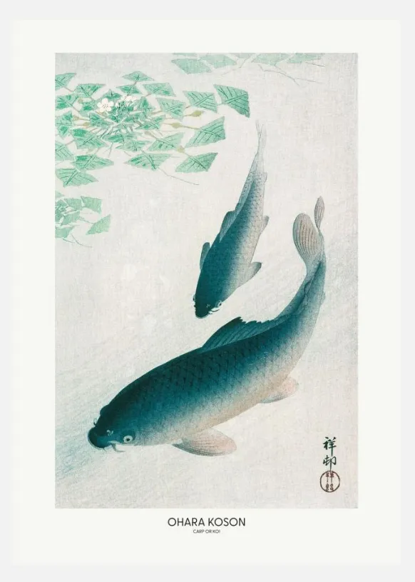 Carp Or Koi Canvastavla (30x40 cm)