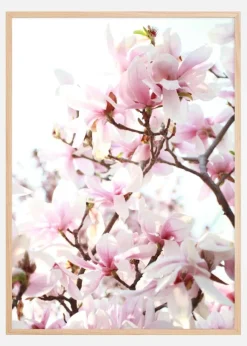 Cherry Trees Poster (21x29.7 cm (A4))