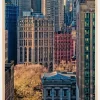 City Life Poster (21x29.7 cm (A4))