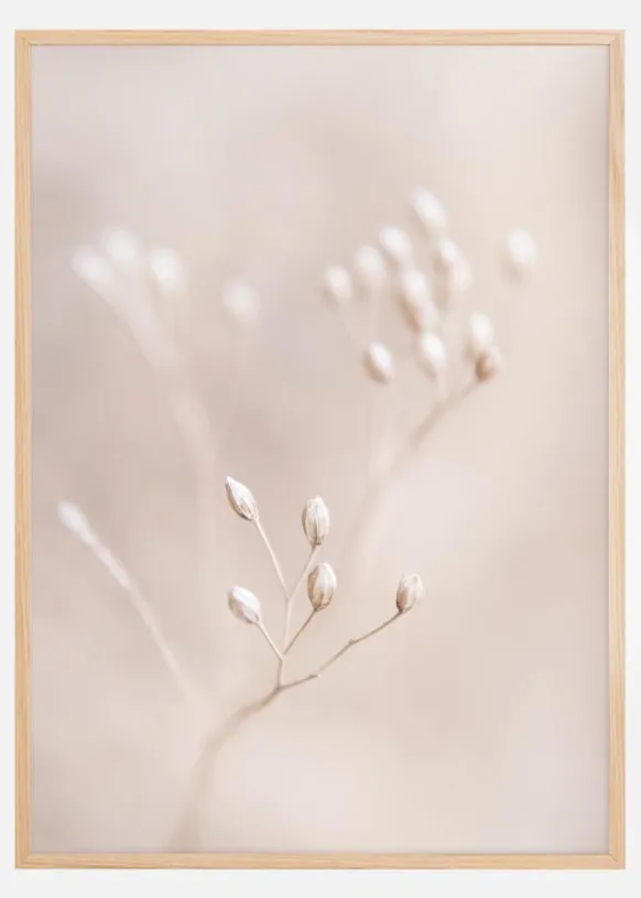 Close up Straw Poster (21x29.7 cm (A4))