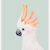 Cockatoo On Mint Canvastavla (30x40 cm)