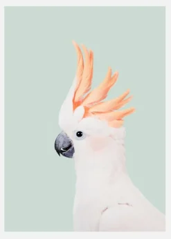 Cockatoo On Mint Canvastavla (30x40 cm)