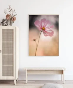 Cosmos Poster (21x29.7 cm (A4))