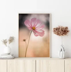 Cosmos Poster (21x29.7 cm (A4))