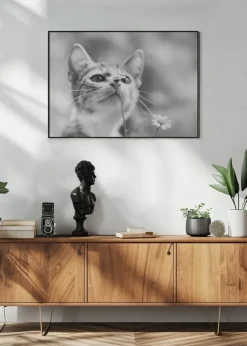 Curious Poster (21x29.7 cm (A4))