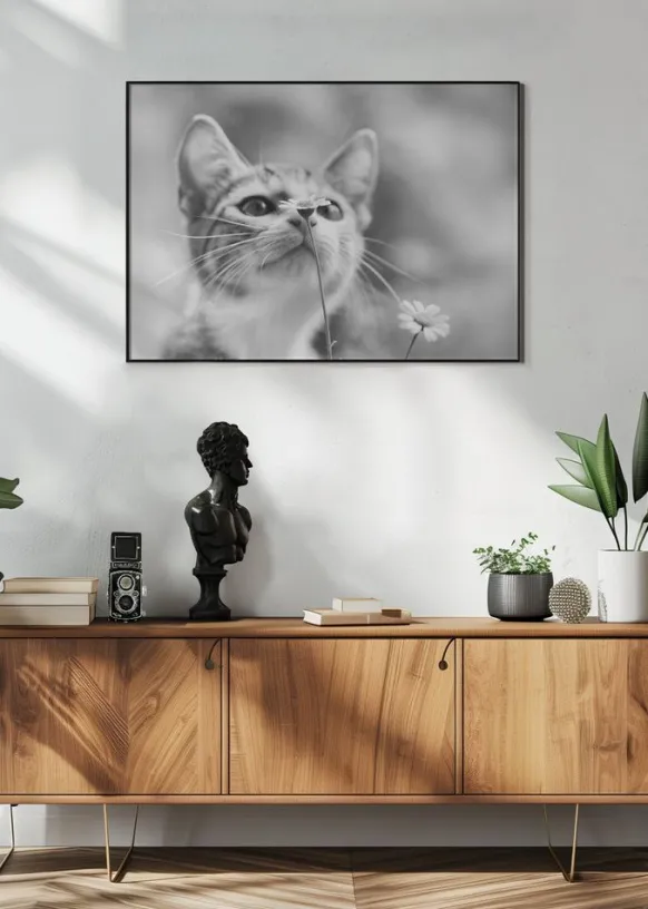 Curious Poster (21x29.7 cm (A4))