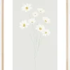 DAINTY Poster (21x29.7 cm (A4))