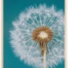 Dandelion Macro Sky Poster (21x29.7 cm (A4))