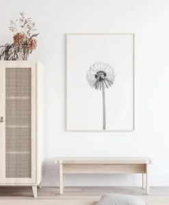 Dandelion Poster (21x29.7 cm (A4))