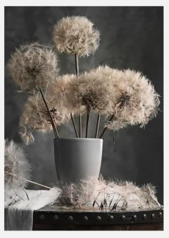 Dandelion Seed Pod Canvastavla (30x40 cm)