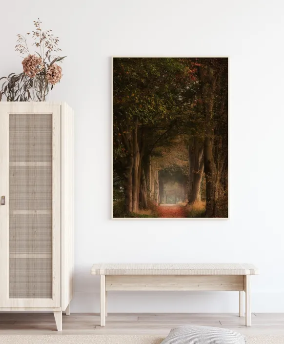 Daydreamer Poster (21x29.7 cm (A4))
