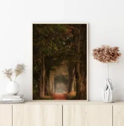 Daydreamer Poster (21x29.7 cm (A4))