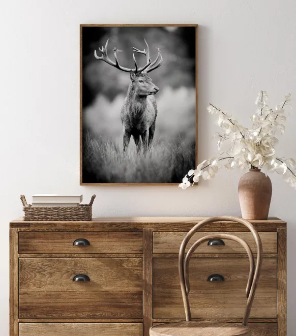 Deer With Horns Poster (21x29.7 cm (A4))