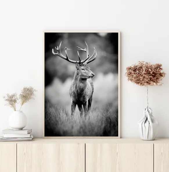 Deer With Horns Poster (21x29.7 cm (A4))