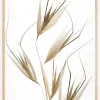 Delicacy of nature Poster (21x29.7 cm (A4))