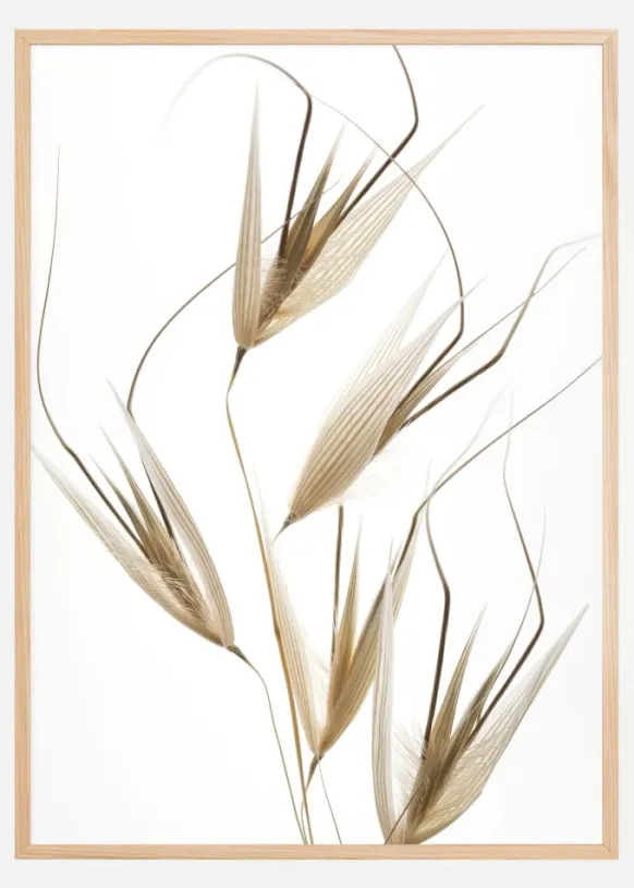 Delicacy of nature Poster (21x29.7 cm (A4))
