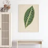 Diefenbachia Poster (21x29.7 cm (A4))