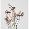 Dried Flowers II Canvastavla (30x40 cm)